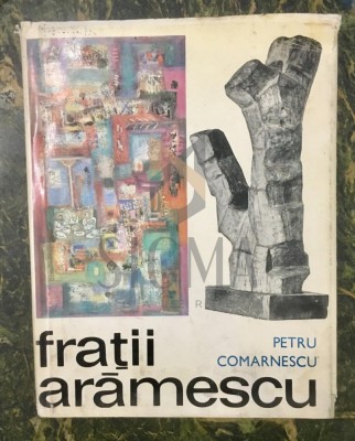 FRATII ARAMESCU foto