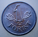 1.880 UNGARIA 1 FORINT 1979 XF/AUNC, Europa, Aluminiu