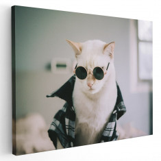 Tablou pisica alba cu ochelari Tablou canvas pe panza CU RAMA 70x100 cm