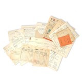 Arhiva de documente a familiilor Goga și Cosma