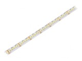 Bandă LED alb rece 24V IP20