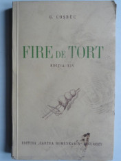 FIRE DE TORT - GEORGE COSBUC foto