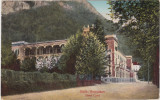 CP Herculane Hotel Carol ND(1924), Circulata, Fotografie, Baile Herculane