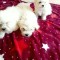 Catei bichon maltez