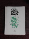 CAFENEAUA LA OGLINZI - GIULIANA MORANDINI