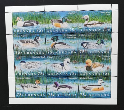 Grenada-Fauna,Pasari de Apa- 1 Minicoala-.Neobliterata-GG 006 foto
