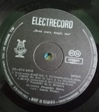 Disc Vinil Ionela Prodan - Bună Seara, Dragii Mei-Electrecord -ST-EPE 03558