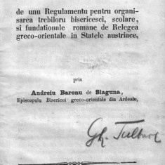 Andrei Șaguna, PROIECT DE REGULAMENT ... BISERICEASCĂ, ȘCOLARĂ  Sibiu, 1864