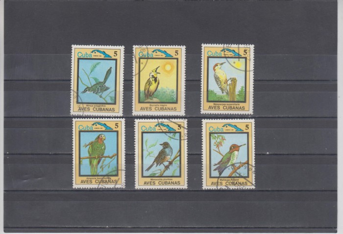 A12 S5 5 - Timbre foarte vechi - Cuba - pasari exotice