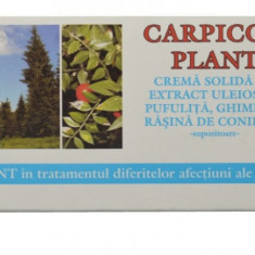 CARPICON PLANT SUPOZITOARE 10 x1g ELZIN PLANT