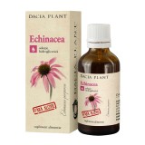 Tinctura de echinacea fara alcool, 50ml, Dacia Plant