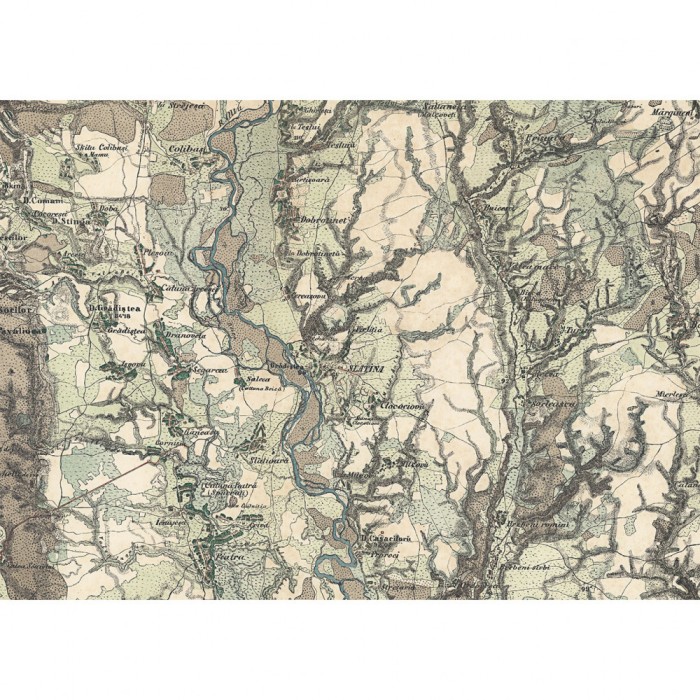 Harta Romaniei Meridionale &ndash; Slatina si imprej., 1864, 50x70cm, reproducere