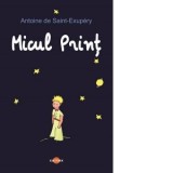 Micul Print