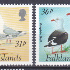 DB1 Fauna Pasari 1992 Ins. Falkland 4 v. MNH