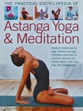 Cumpara ieftin The practical encyclopedia of Astanga Yoga and meditation - 2009 - Jean Hall ($Z143)