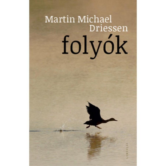 Foly&oacute;k - Martin Michael Driessen