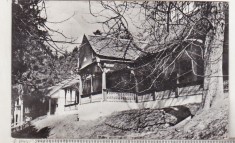 bnk cp Bazna - Vedere - circulata