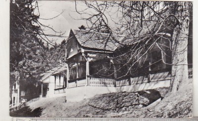 bnk cp Bazna - Vedere - circulata foto