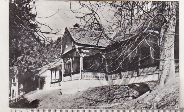 bnk cp Bazna - Vedere - circulata