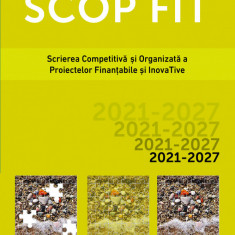 SCOP FIT: Scrierea competitiva si organizata a proiectelor finantabile si inovative | Radu Lacatus