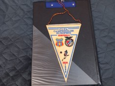 Fanion Steaua - Benfica Lisabona foto