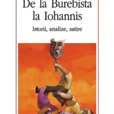 De la Burebista la Iohannis. Istorii, analize, satire - Paperback brosat - Sorin Mitu - Polirom