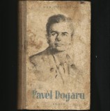 Cumpara ieftin PAVEL DOGARU - DAN COSTESCU - ROMAN