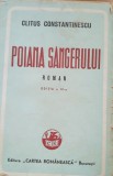 Poiana Sangerului - Clitus Constantinescu