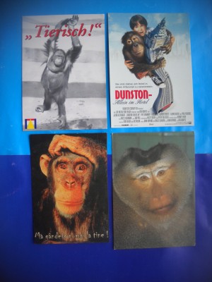 HOPCT LOT NR 1007 MAIMUTA / MAIMUTE -FAUNA -4 CARTI POSTALE-NECIRCULATE foto