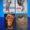 HOPCT LOT NR 1007 MAIMUTA / MAIMUTE -FAUNA -4 CARTI POSTALE-NECIRCULATE