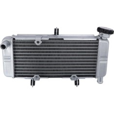 Radiator Honda CBR 250R CBR250R 2011-2022 ABS CB300F CBR300R&nbsp;