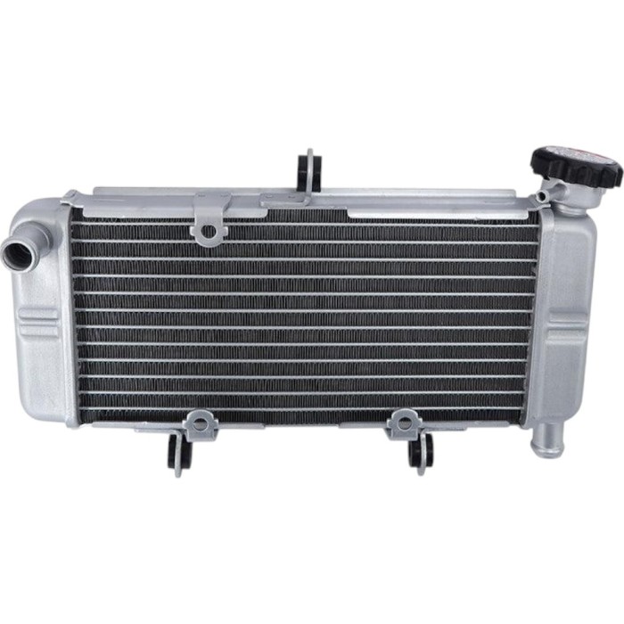 Radiator Honda CBR 250R CBR250R 2011-2022 ABS CB300F CBR300R&nbsp;