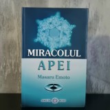 Masaru Emoto - Miracolul Apei RARĂ