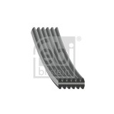 Febi Bilstein Curea transmisie cu caneluri