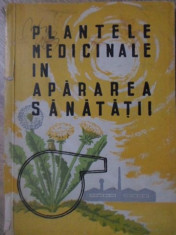 PLANTELE MEDICINALE IN APARAREA SANATATII - NECUNOSCUT foto