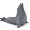 Papo Figurina Elefant De Mare