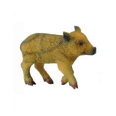 Porc mistret mergand - Collecta