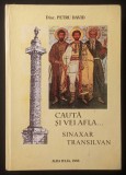 ✝ SINAXAR TRANSILVAN / ARDELEAN Diac. Petru David 640 pag PREDICI MISIONAR-PATRIOTICE la Sarbatorile Anului Sfinti Mari Cuviosi Romani Alba Iulia 1998