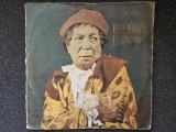 BOLNAVUL INCHIPUIT - Moliere (DISC DUBLU VINIL)