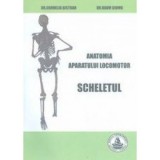 Anatomia aparatului locomotor. Scheletul - Cornelia Bistran, Naum Ciomu