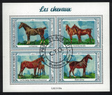 Timbre Djibouti 2021, Cai, Colita Noua