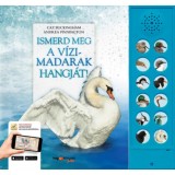 Ismerd meg a v&iacute;zimadarak hangj&aacute;t! - A v&iacute;zi &eacute;lőhelyek mad&aacute;rvil&aacute;ga &eacute;letre kel - Andrea Pinnington