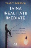 Vlad T. Popescu - Taina irealitatii imediate. Un model energetico-spiritual al