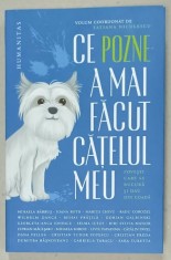 CE POZNE A MAI FACUT CATELUL MEU , volum coordonat de TATIANA NICULESCU , 2024