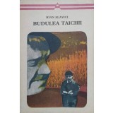 BUDULEA TAICHII-IOAN SLAVICI-206563