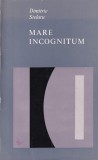 Dimitrie Stelaru - Mare incognitum