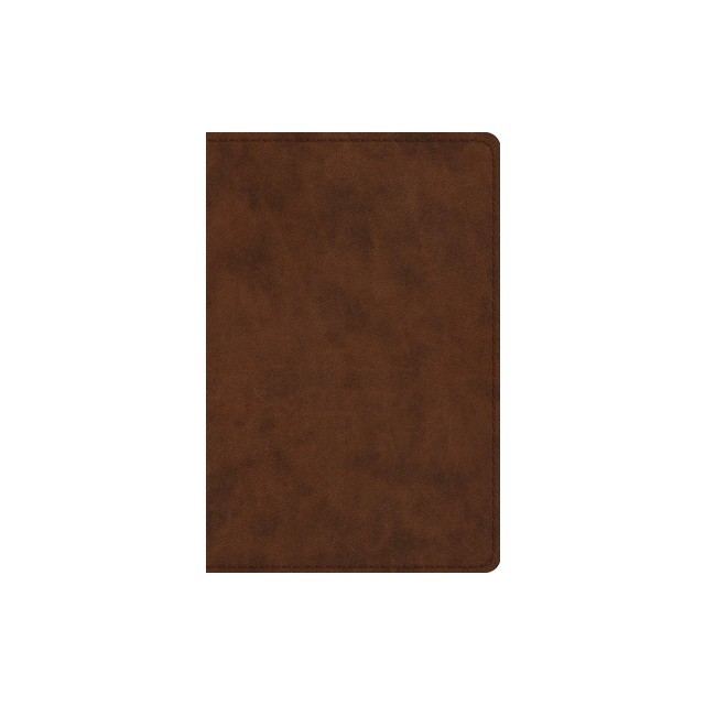 Study Bible-ESV-Personal Size