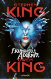 Frumoasele adormite - Stephen King Owen King - Editura Nemira