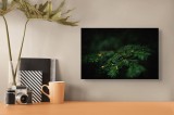 Tablou Canvas, "Frumusețea tainică a pădurii verzi", Ace, Verde, Natură, Frunziș, Rășinoase, Detaliu, &Icirc;ntunecat, Ramură, Elegant, Subtil, Calm, Vegeta