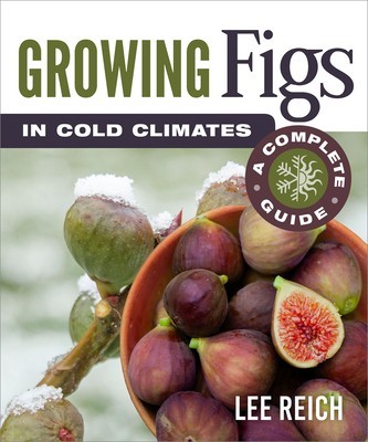 Growing Figs in Cold Climates: A Complete Guide foto